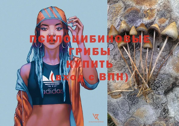 метадон Осинники